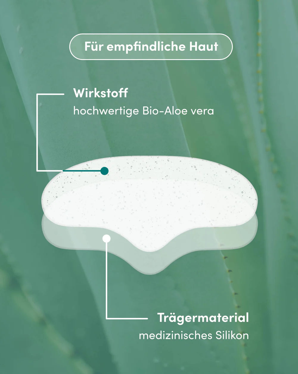 Wiederverwendbares APRICOT Stirn Pad mit Aleo Vera