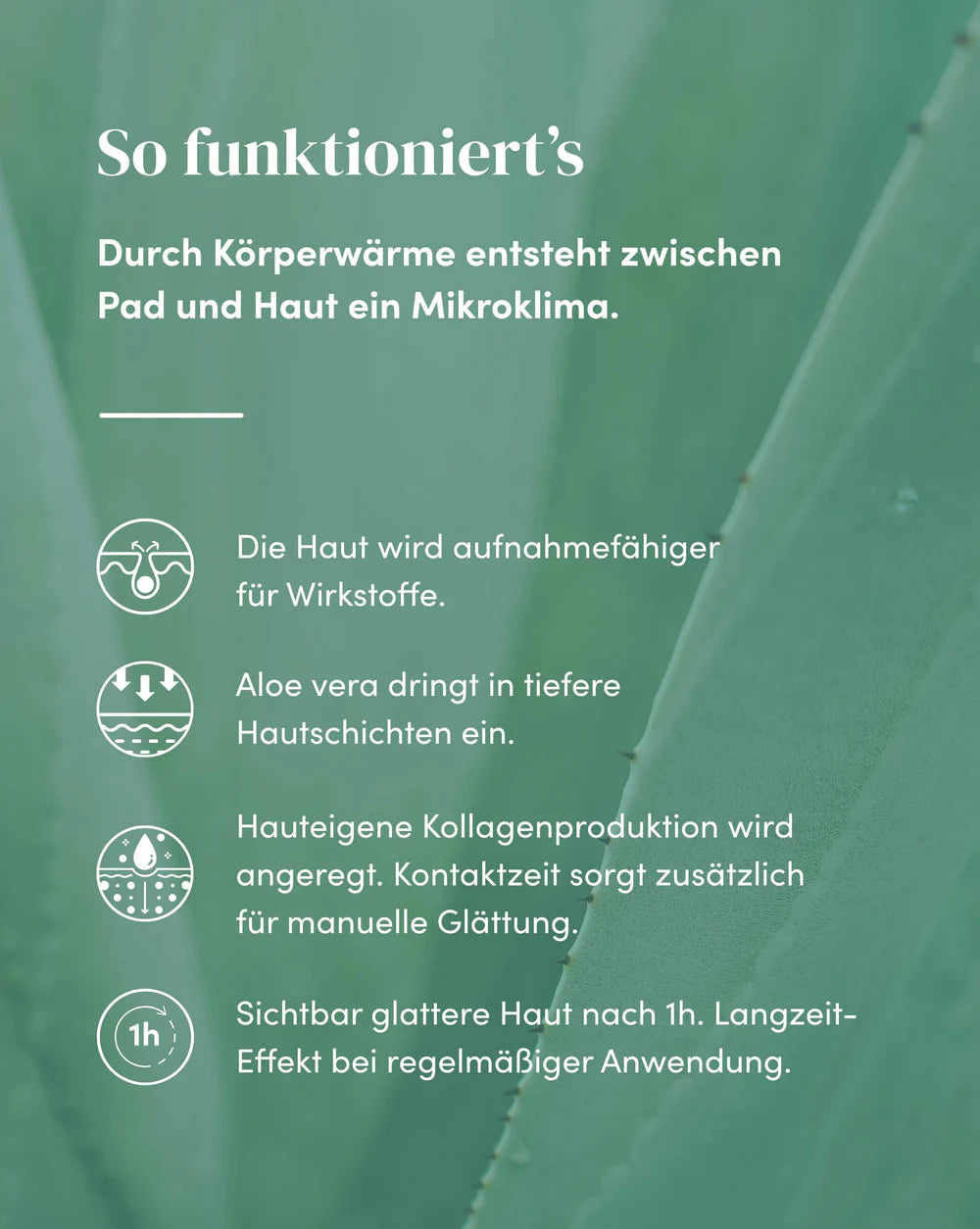 Wiederverwendbares APRICOT Stirn Pad mit Aleo Vera